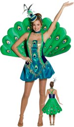Unbranded Fancy Dress - Adult Peacock Costume