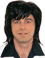 Unbranded Fancy Dress - Adult Shag (1970s) Wig