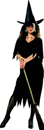 Unbranded Fancy Dress - Adult Witch Costume