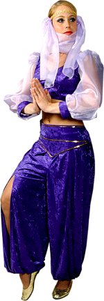 Unbranded Fancy Dress - Bedowin Princess