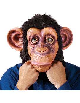 Unbranded Fancy Dress - Comical Chimp Mask