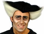 Unbranded Fancy Dress - Count Wig