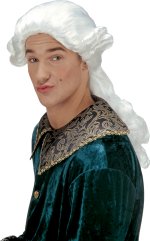 Unbranded Fancy Dress - Duke Donetien Wig