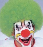 Unbranded Fancy Dress - GREEN Deluxe Afro Clown Wig