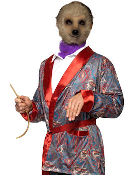 Unbranded Fancy Dress - Meerkat Mask