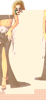 Fancy Dress - Night Widow Vampiress Costume Dress 6 to 8