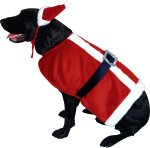 Fancy Dress - Pet Santa Costume Small