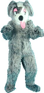 Fancy Dress - Shaggy Dog Mascot Costume