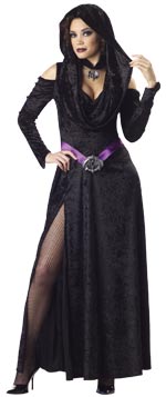 Includes hooded gown with sash, bat medallion and velvet choker with bat pendant.