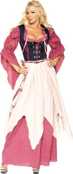 Deluxe 4 piece renaissance costume.