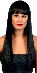 Fancy Dress Costumes - Cher Wig BLACK