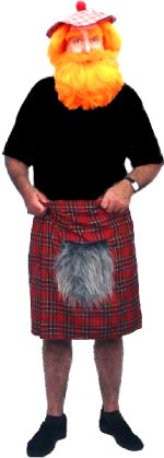 Unbranded Fancy Dress Costumes - Ginger Jock