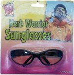 Unbranded Fancy Dress Costumes - Herb Warrior Specs