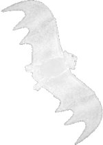 Fancy Dress Costumes - Large Glow-In-Dark Bat