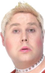 Unbranded Fancy Dress Costumes - Little Britain Daffyd Wig