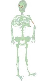 Fancy Dress Costumes - PVC Glow-In-Dark Skeleton