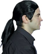 Fancy Dress Costumes - Ross (Black) Ponytail