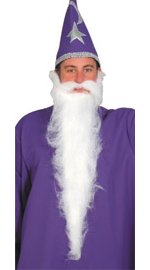 Unbranded Fancy Dress Costumes - Wizard Beard - White