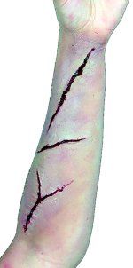 Unbranded Fancy Dress Costumes - Woochie Bloody Scar Set 1