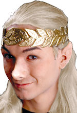 Unbranded Fancy Dress Costumes - Woochie Elven Ear Tips