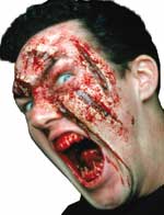 Unbranded Fancy Dress Costumes - Woochie Shredded