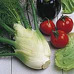 Unbranded Fennel Zefa Fino Seeds 435081.htm