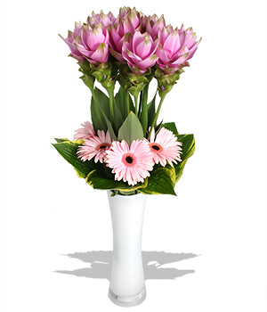 Unbranded Finest Bouquets - Patti