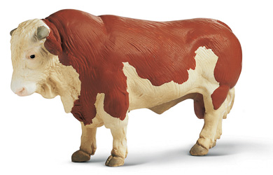 Unbranded Fleckvieh Bull