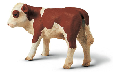 Unbranded Fleckvieh Calf