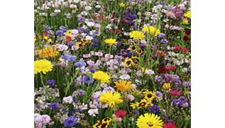 Unbranded Flowering Mixture Seeds - Perennial Mix