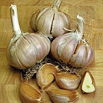 Unbranded Garlic German Red Bulbs