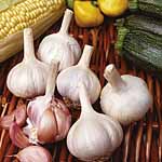 Unbranded Garlic Sultop