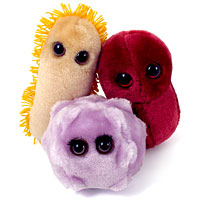 Giant Microbes (E Coli)