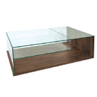 Greenapple are a major forerunner in glass products, from occasional furniture through to