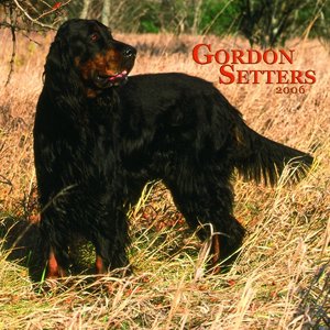 Gordon Setter Calendar