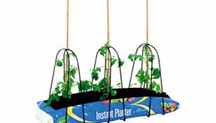 Unbranded Grow Bag Cane Frames