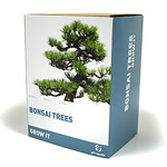 Unbranded Grow It Bonsai Tree