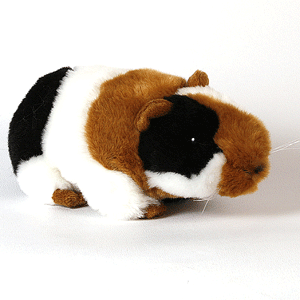 Unbranded Guinea Pig