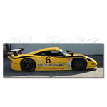 Gunnar-Porsche G-99 GT1 French Kiss With Death McQueenMinter 2003