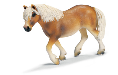 Unbranded Haflinger Stute