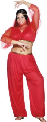 Trousers  Top and Veil Will Fit Dress Size 14-16 Bust 40-44
