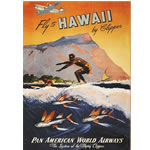 Unbranded Hawaii Canvas Art