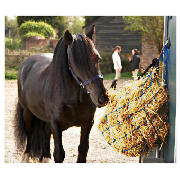 Unbranded Headcollar, Leadrope Haynet Green Full