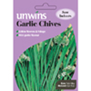 Unbranded Herb Garlic Chives Seeds