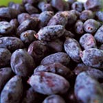 Unbranded Honeyberry