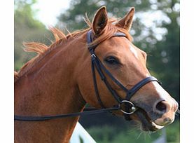 Horse riding is one of the most fun and absorbing hobbies around. It provides a cardiovascular work out, Improves posture, great for anyone who is sociable and enjoys being around animals.