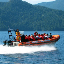 Howe Sound Sea Safari - Adult