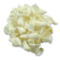 ivory rose petals