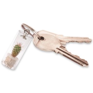 Keyring Pet Plant