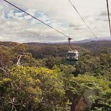 Unbranded Kuranda Rail, Skyrail and Hartleyand#39;s Crocodile Adventure - Adult Ex Cairns